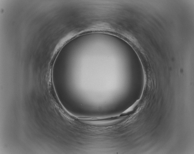X0000085071366200703051355
