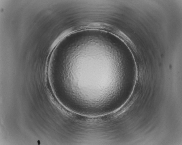 X0000085071378200703051355