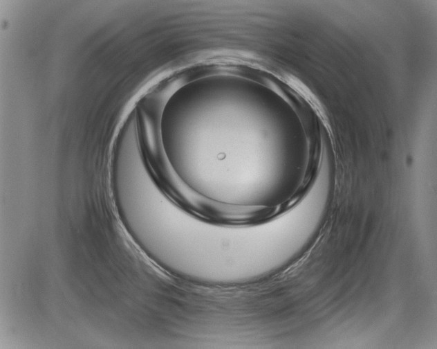 X0000085071384200703051355