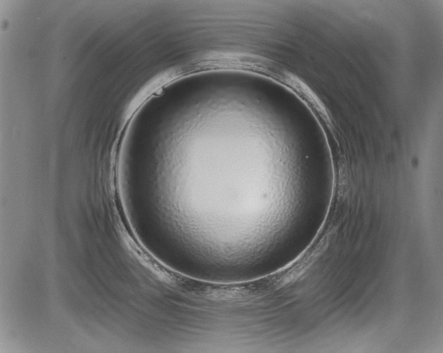 X0000085071386200703051355