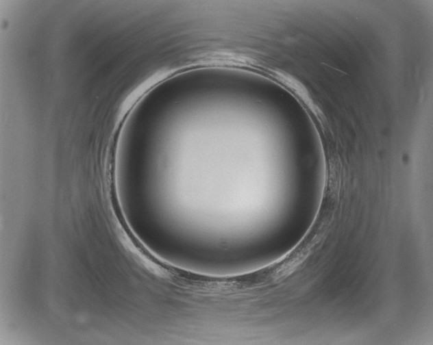 X0000085071387200703051355