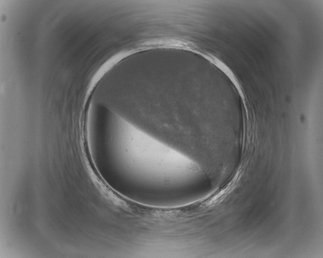X0000085071389200703051355
