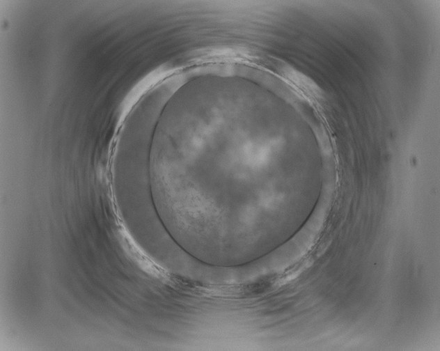 X0000085071392200703051355
