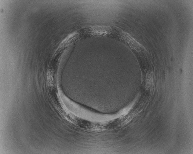 X0000085071394200703051354