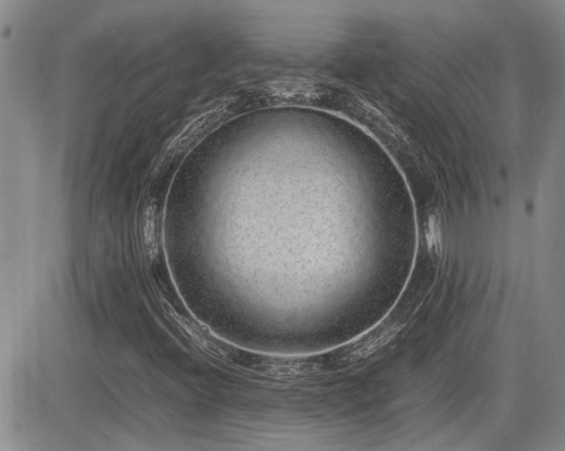 X0000085071396200703051354