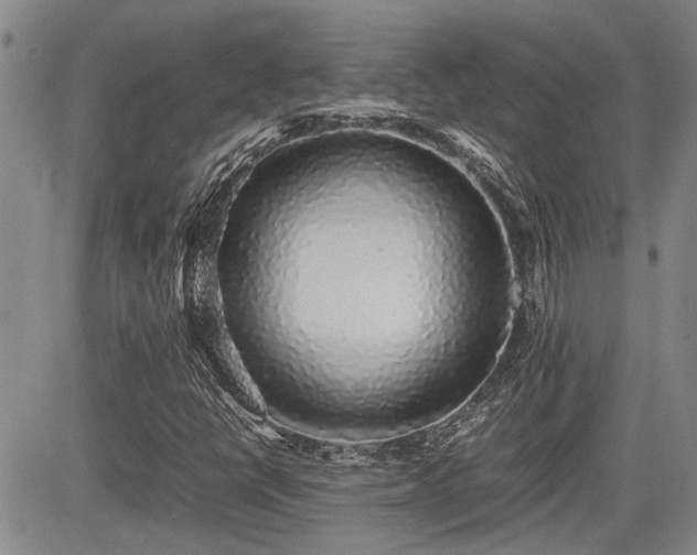 X0000085071398200703051354