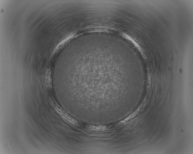 X0000085071403200703051354