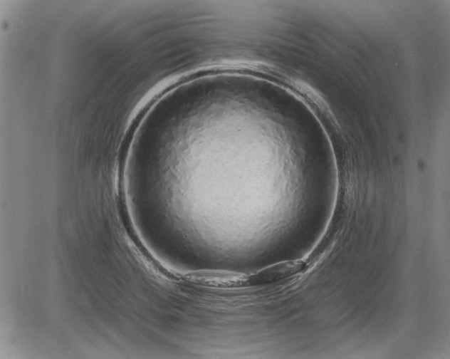 X0000085071420200703051355