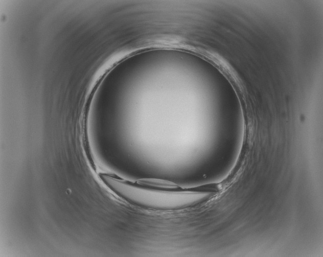 X0000085071432200703051355