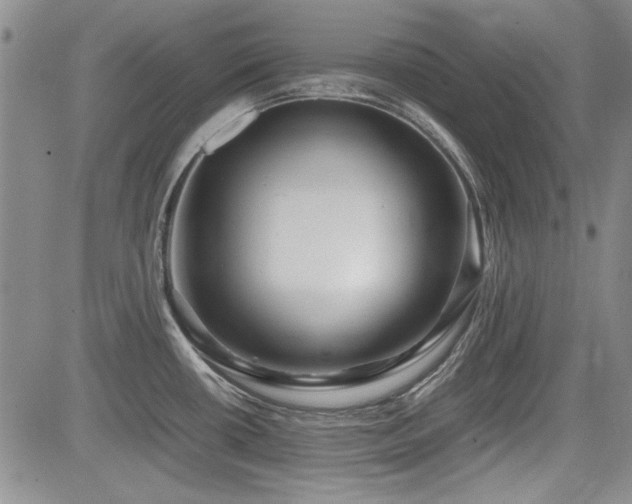 X0000085071434200703051355