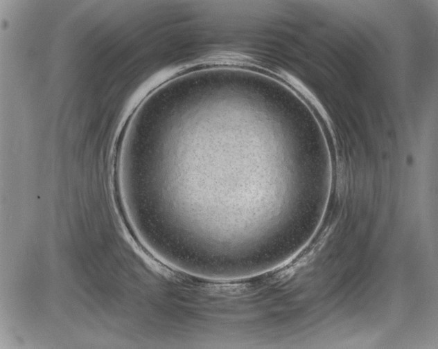 X0000085071437200703051355