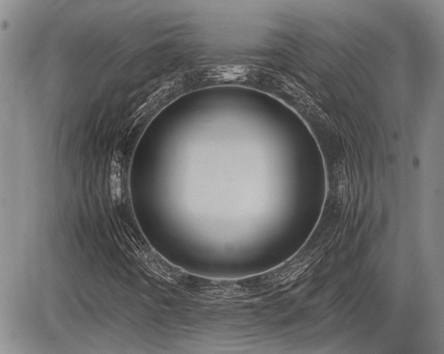 X0000085071442200703051354