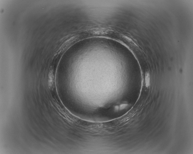 X0000085071444200703051354