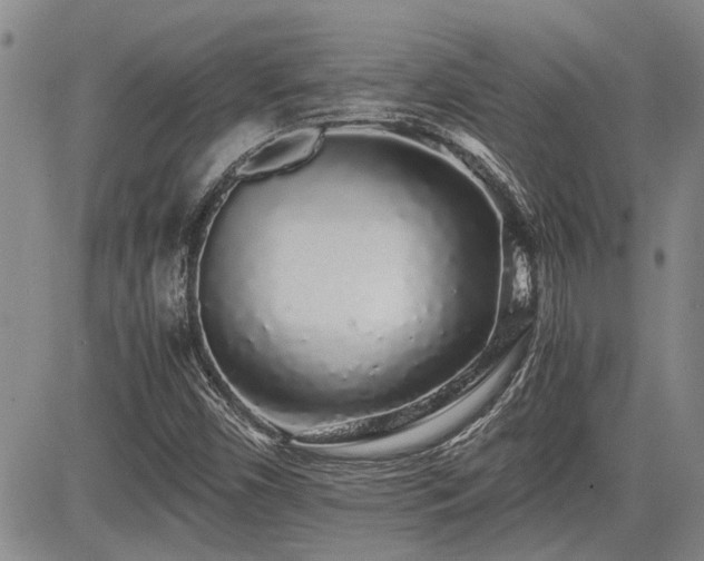 X0000085071450200703051354