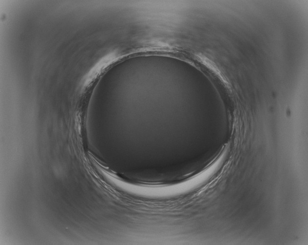 X0000085071455200703051354
