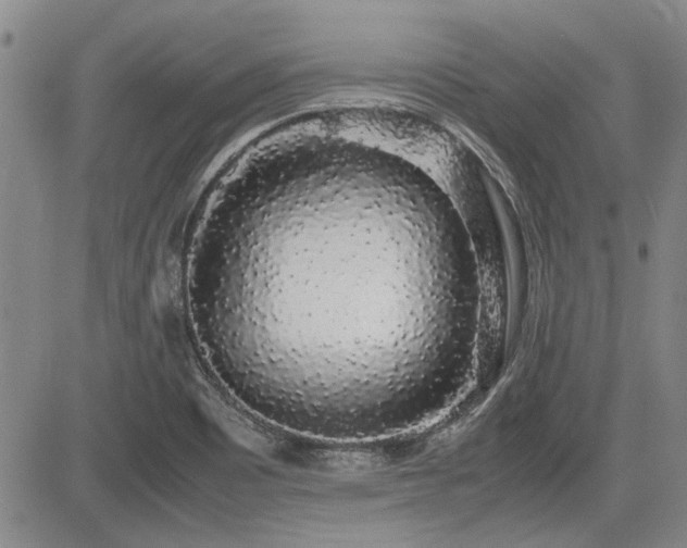 X0000085071465200703051354