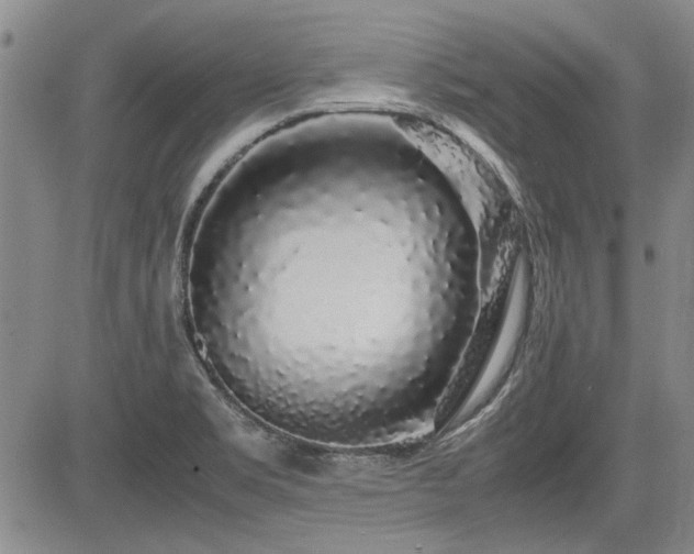X0000085071469200703051354