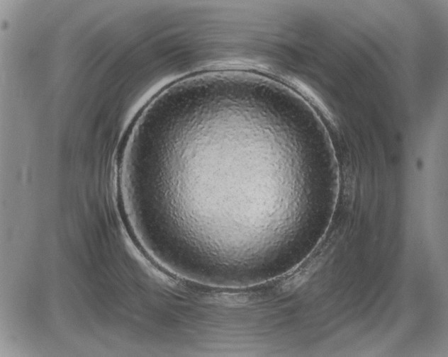 X0000085071476200703051354