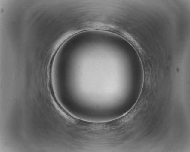 X0000085071479200703051354