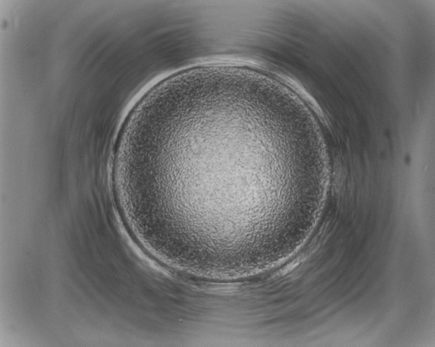 X0000085071484200703051353