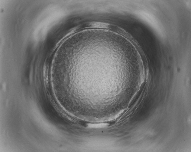 X0000085071487200703051353