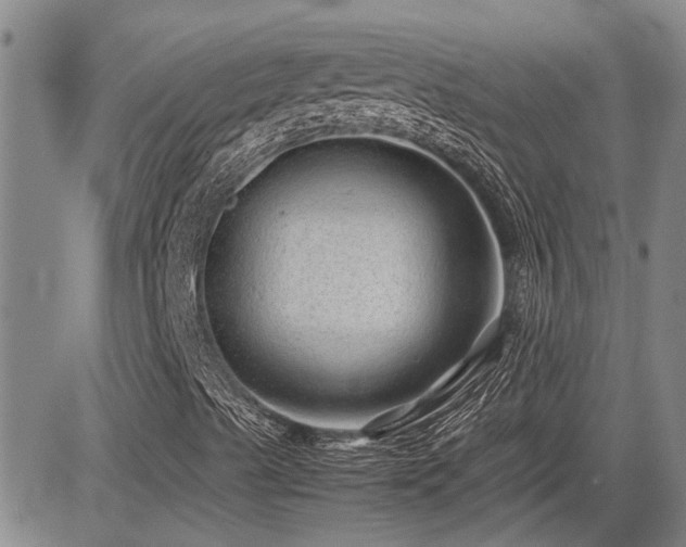 X0000085071489200703051353