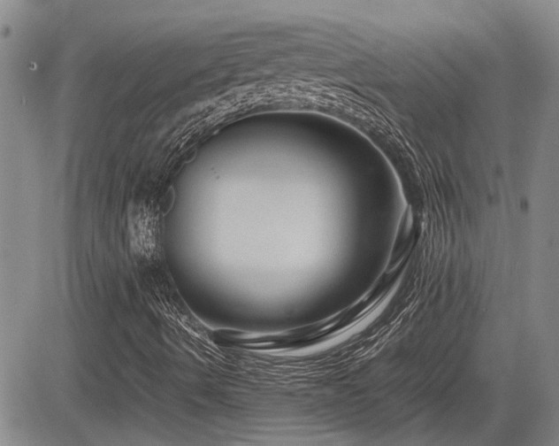X0000085071490200703051353