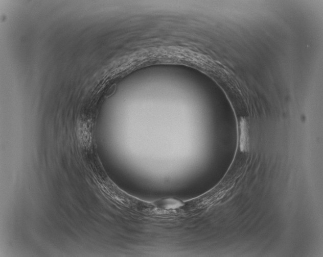 X0000085071491200703051353