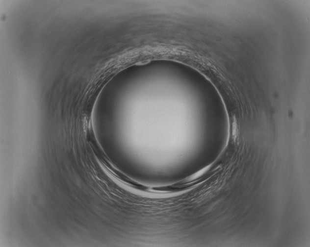 X0000085071492200703051353