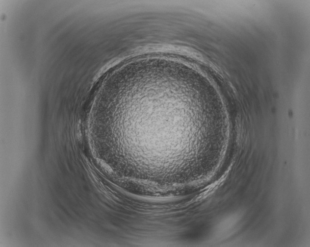 X0000085071497200703051353