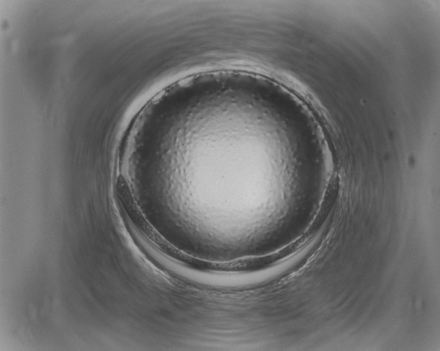 X0000085071520200703051353