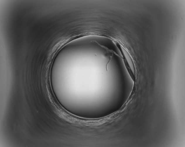 X0000085070001200703121652