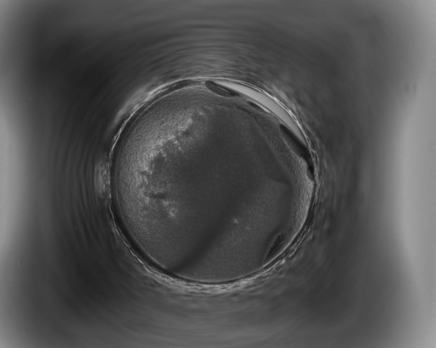 X0000085070002200703121652