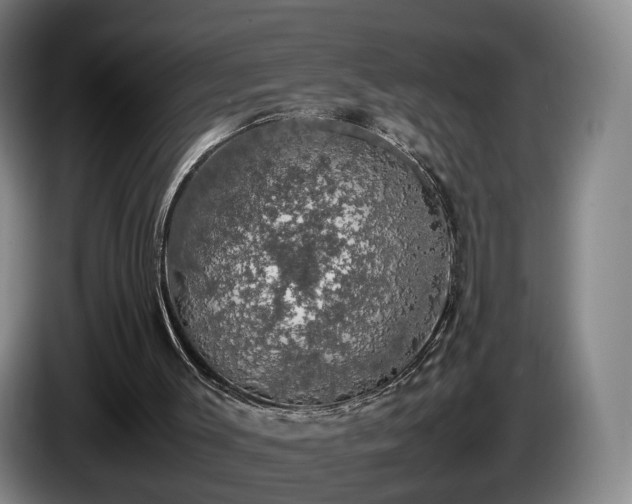 X0000085070003200703121651