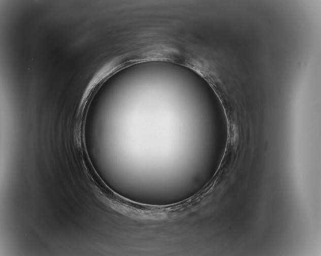 X0000085070004200703121651