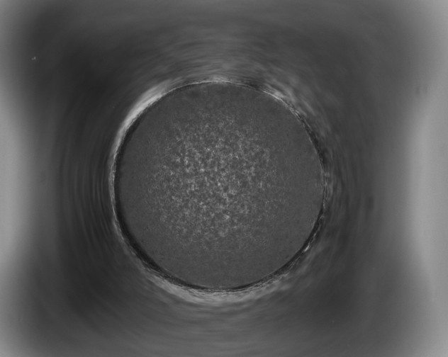 X0000085070006200703121651