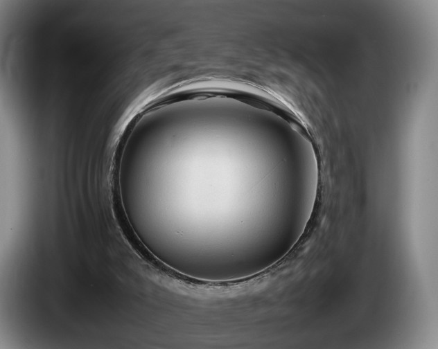 X0000085070007200703121651