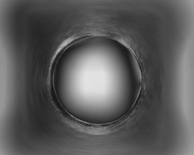 X0000085070008200703121651