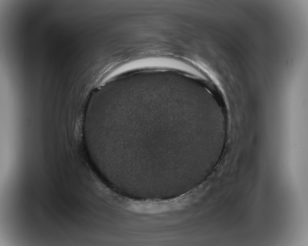 X0000085070009200703121651