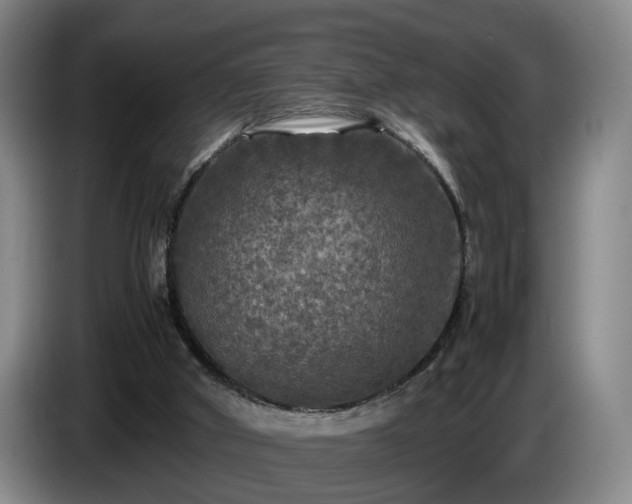 X0000085070010200703121651