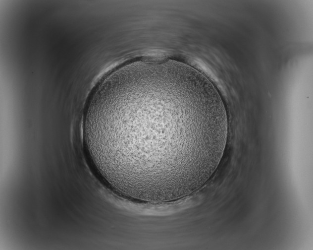 X0000085070011200703121651