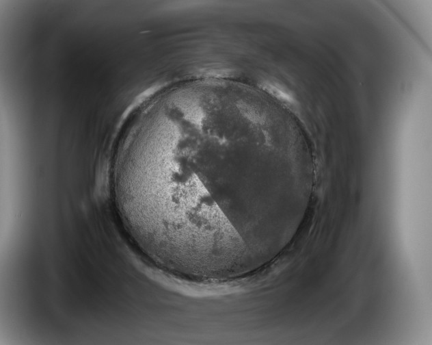 X0000085070012200703121651