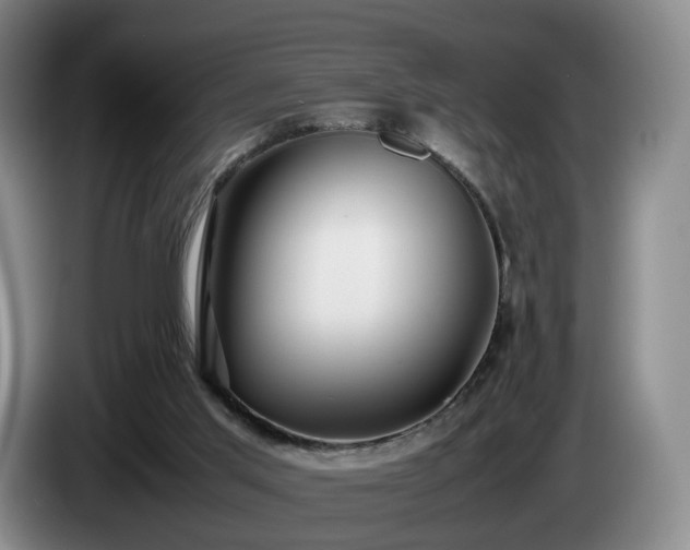 X0000085070013200703121651