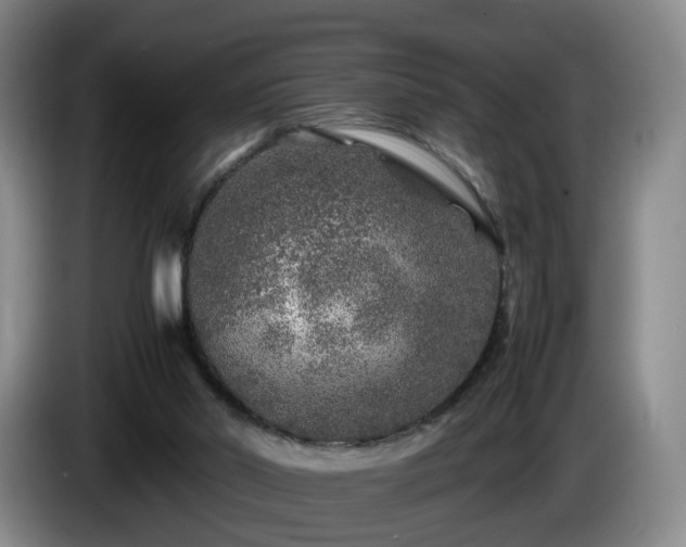 X0000085070014200703121651