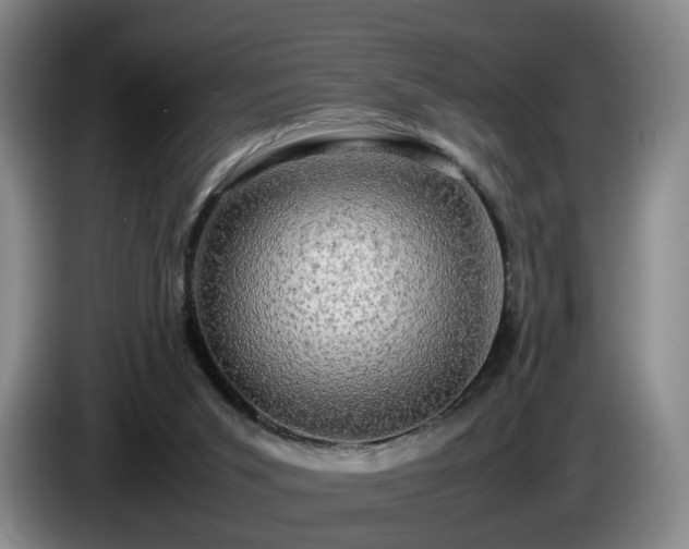 X0000085070015200703121651