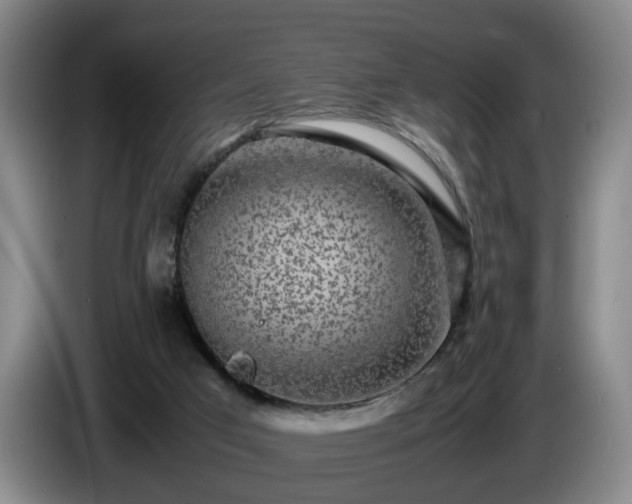 X0000085070017200703121651