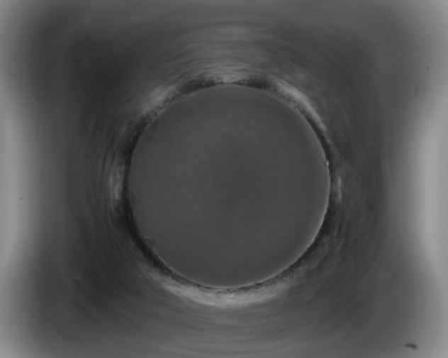 X0000085070018200703121651