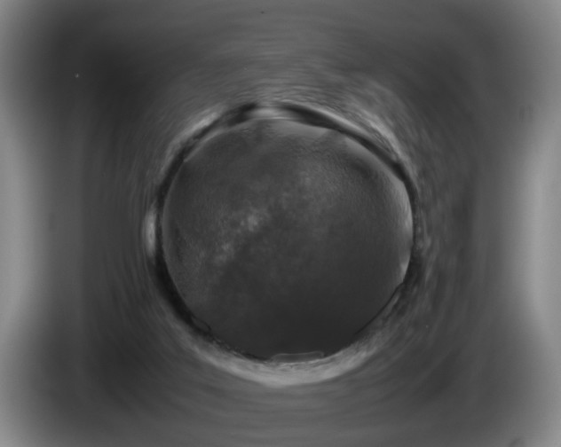 X0000085070019200703121651