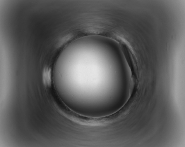 X0000085070020200703121651