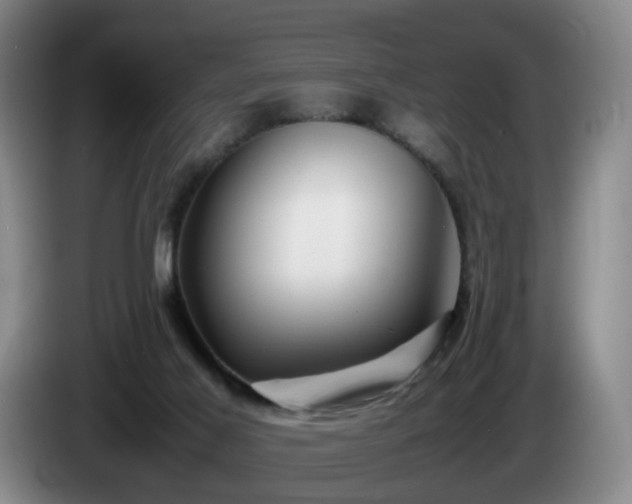 X0000085070021200703121651